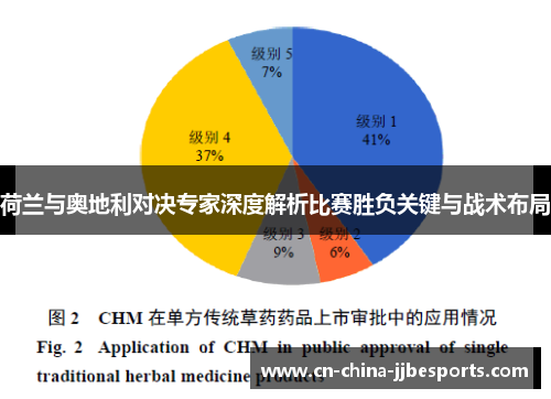 荷兰与奥地利对决专家深度解析比赛胜负关键与战术布局
