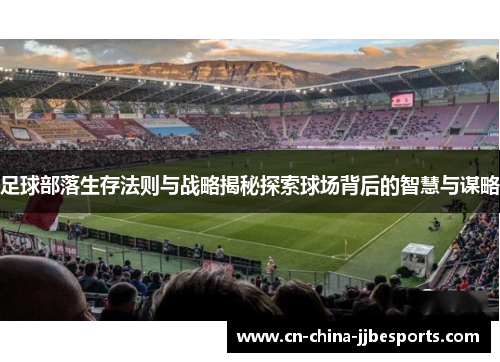 足球部落生存法则与战略揭秘探索球场背后的智慧与谋略